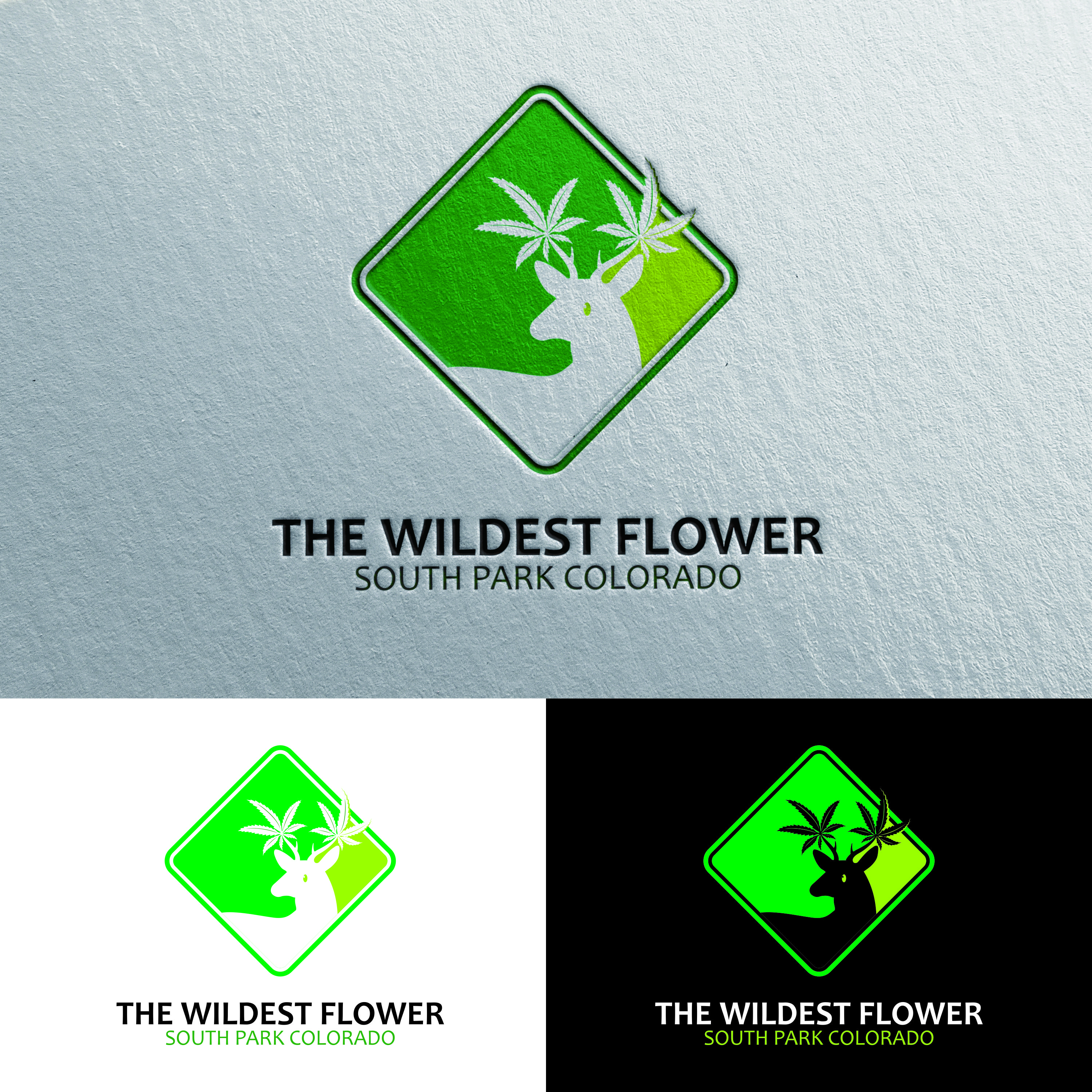 Diseño de Logo por dhanuboy para este proyecto | Diseño #30511658