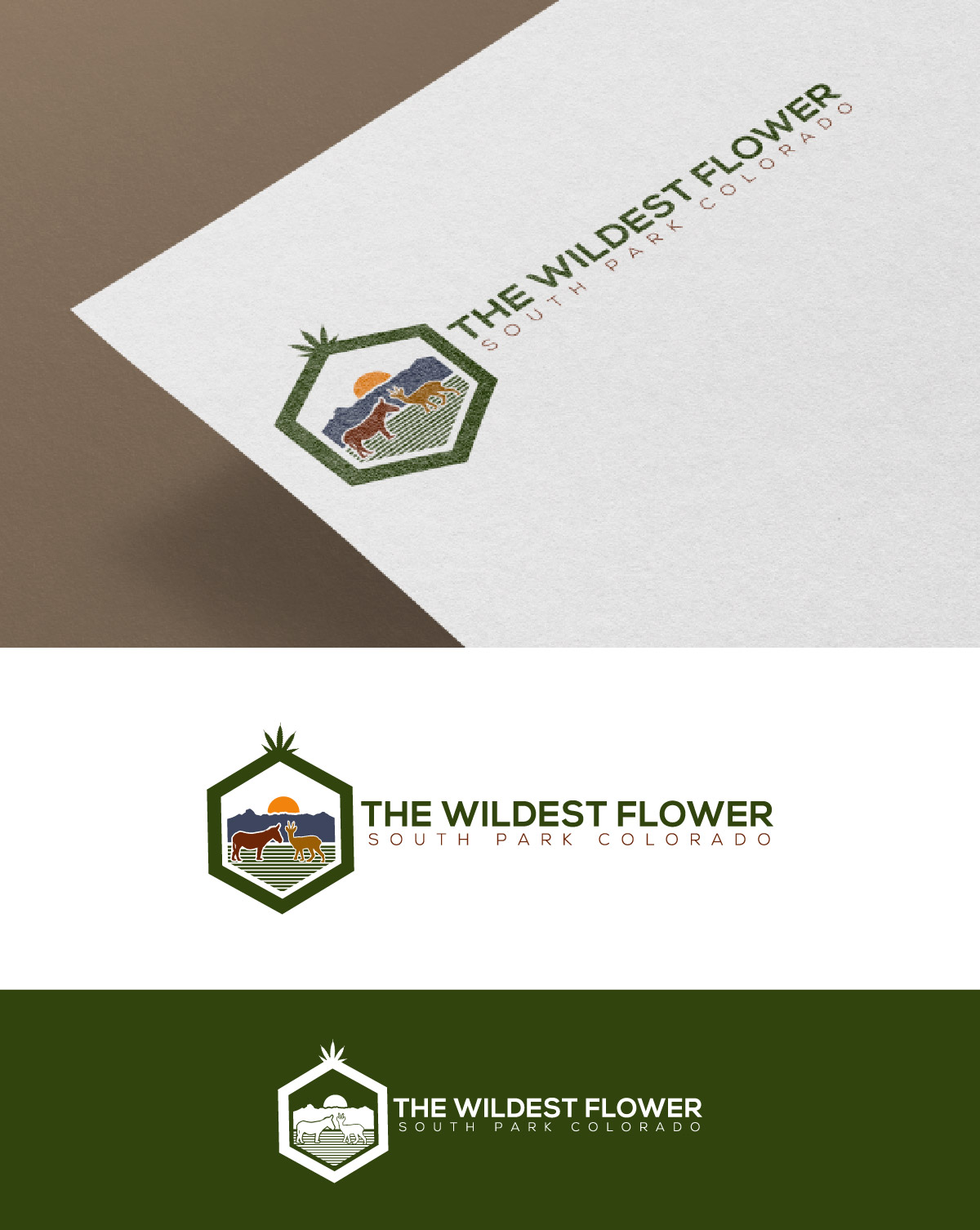 Logo Design by fly  design for this project | Design #30507935