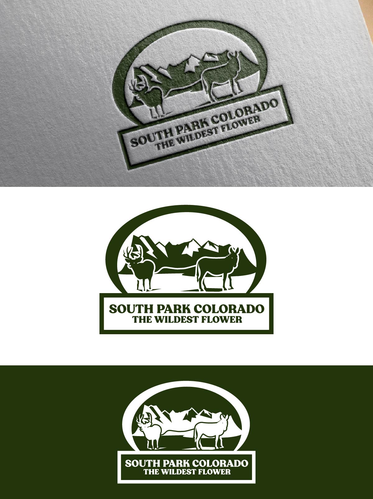 Logo Design by fly  design for this project | Design #30507936