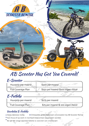 Flyer Design by UsamaIjaz for AB Dive | Design: #30521031