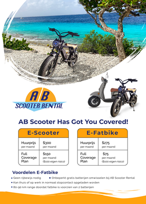 Flyer Design by UsamaIjaz for AB Dive | Design: #30522162