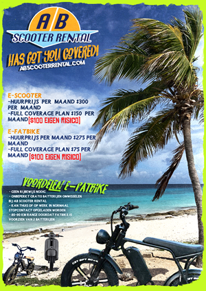 Flyer Design by Elune Design