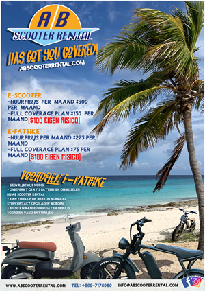 Flyer Design by Elune Design for AB Dive | Design #30515084