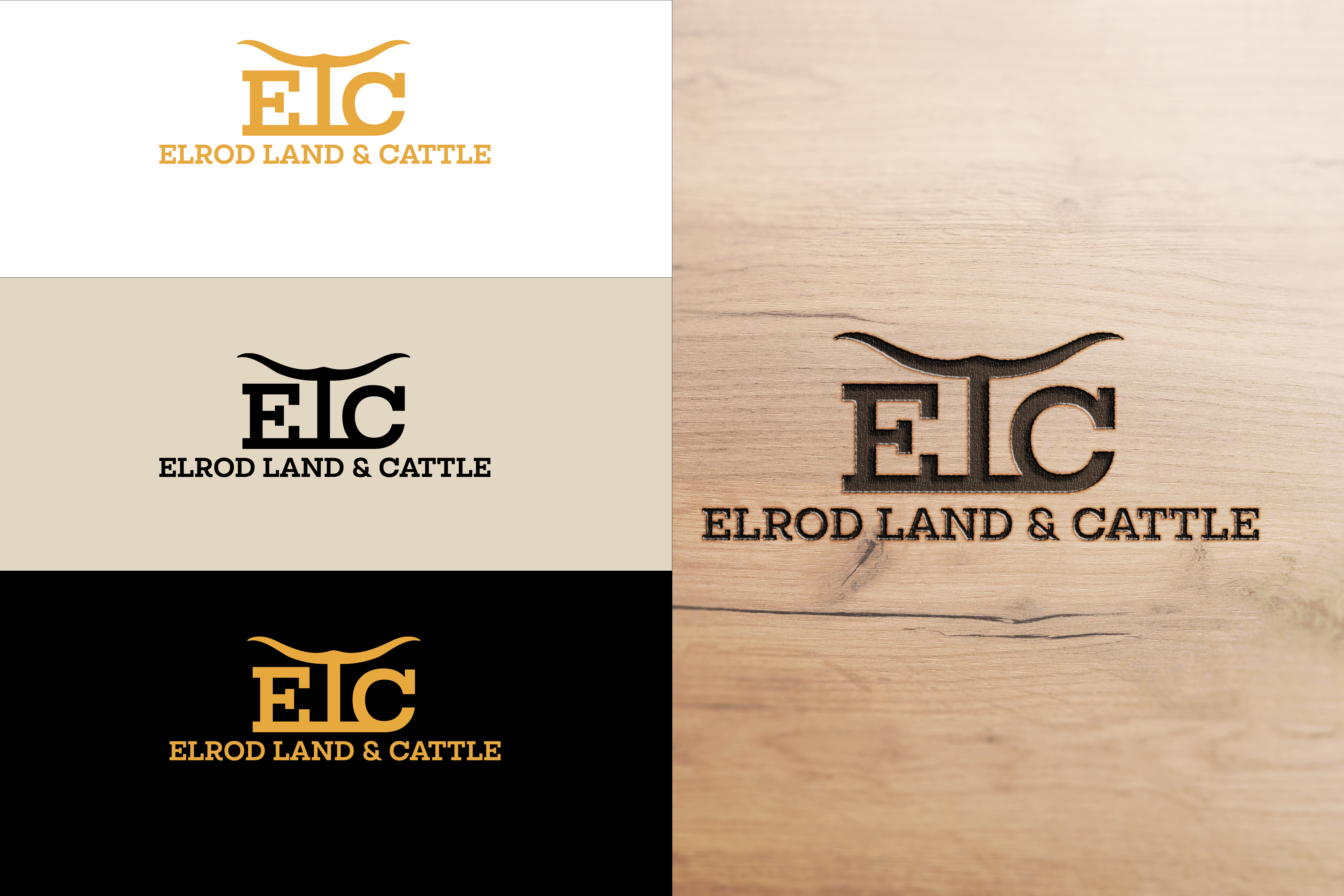 Logo Design by Solarex Corporation for this project | Design: #30537466