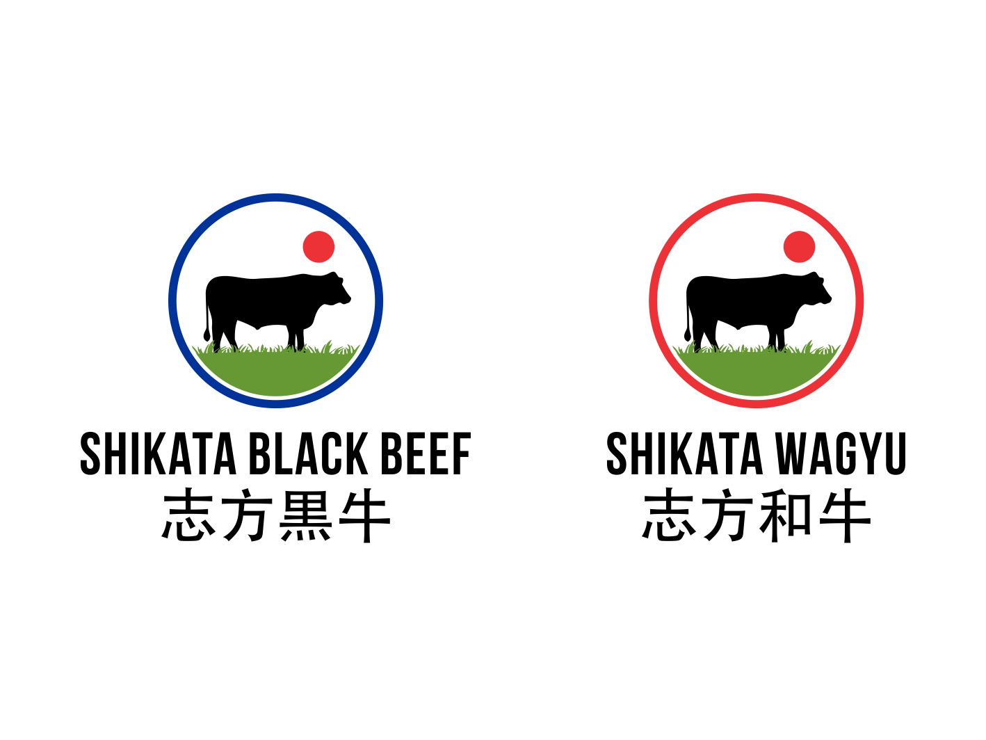 Logo Design by BNdesigner for this project | Design #30532893