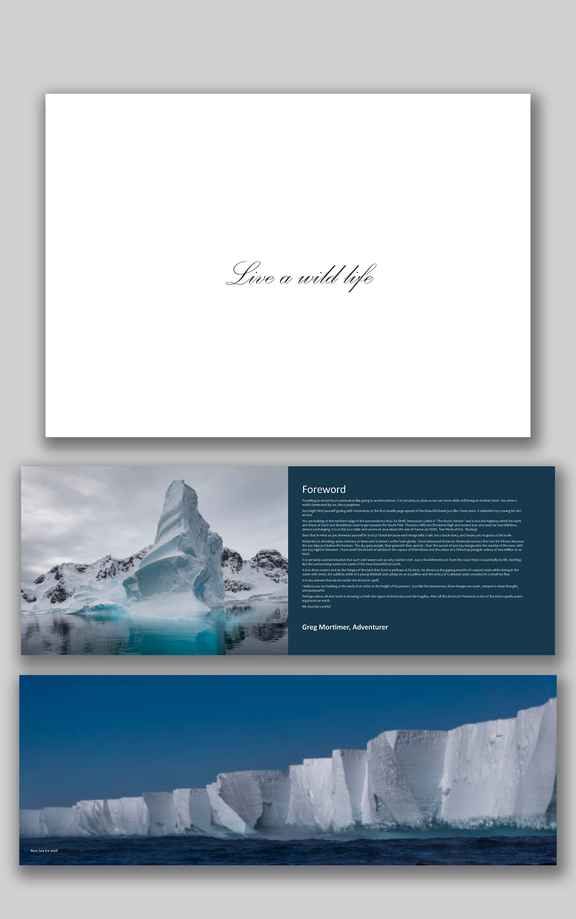 Print Design par Sun Creative pour ce projet | Design #30524358