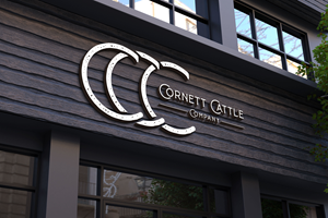 Design de Logo par Kavth pour ce projet | Design : #30568341