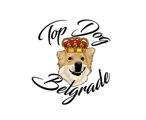 Logo Design by LogoPoko for this project | Design #30537564