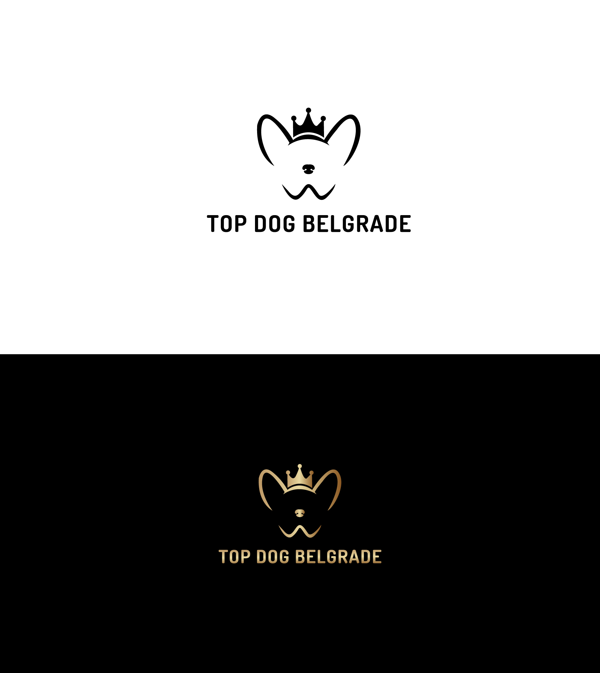 Design de Logo par SK art_pro pour ce projet | Design #30536236