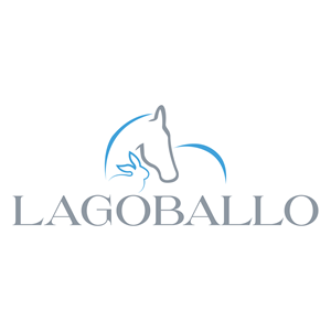 Logo-Design von logoxpert7