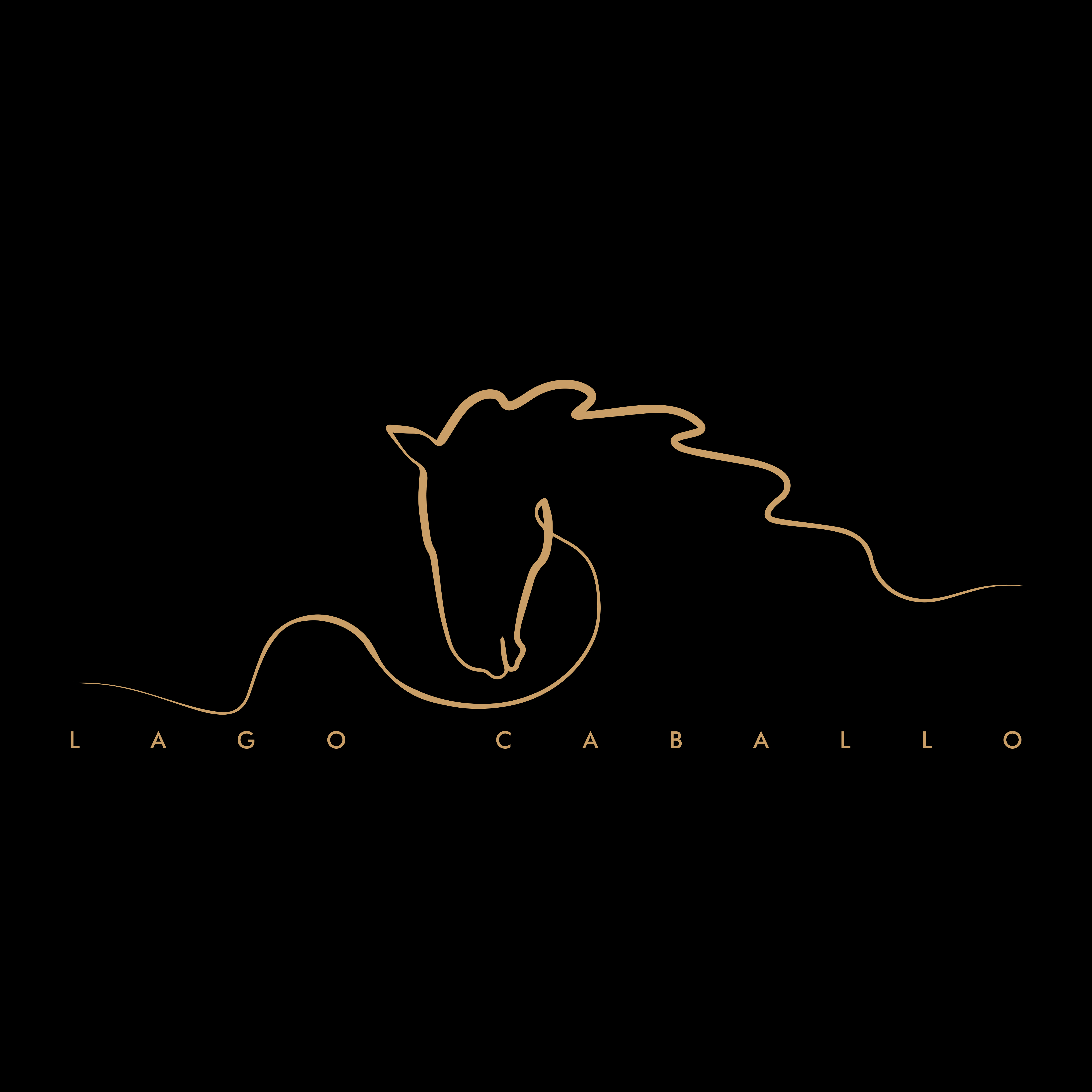 Logo Design by kenelwin gfx for this project | Design #30538996