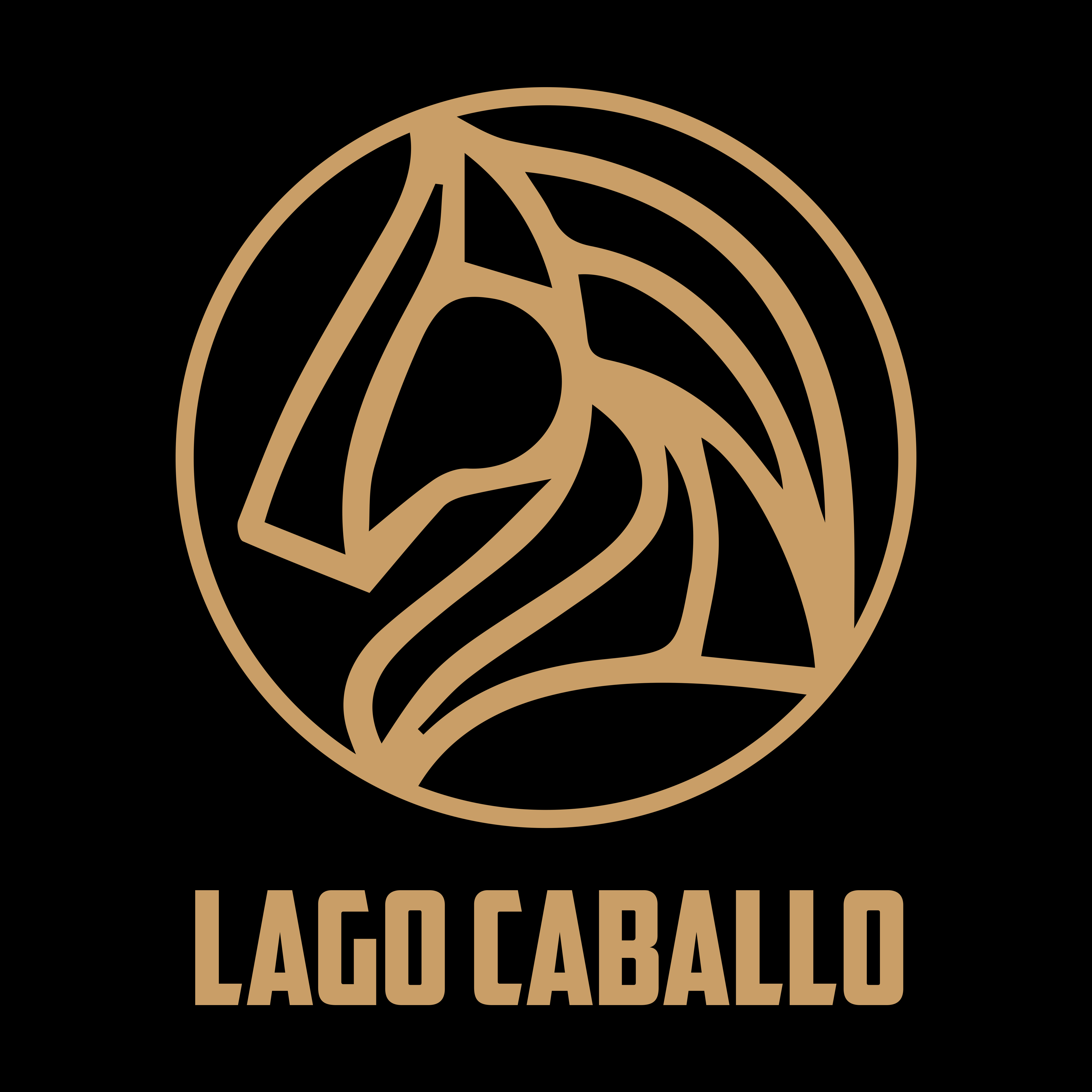 Logo Design by kenelwin gfx for this project | Design #30538997