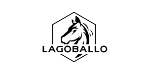 Logo Design by sileeet