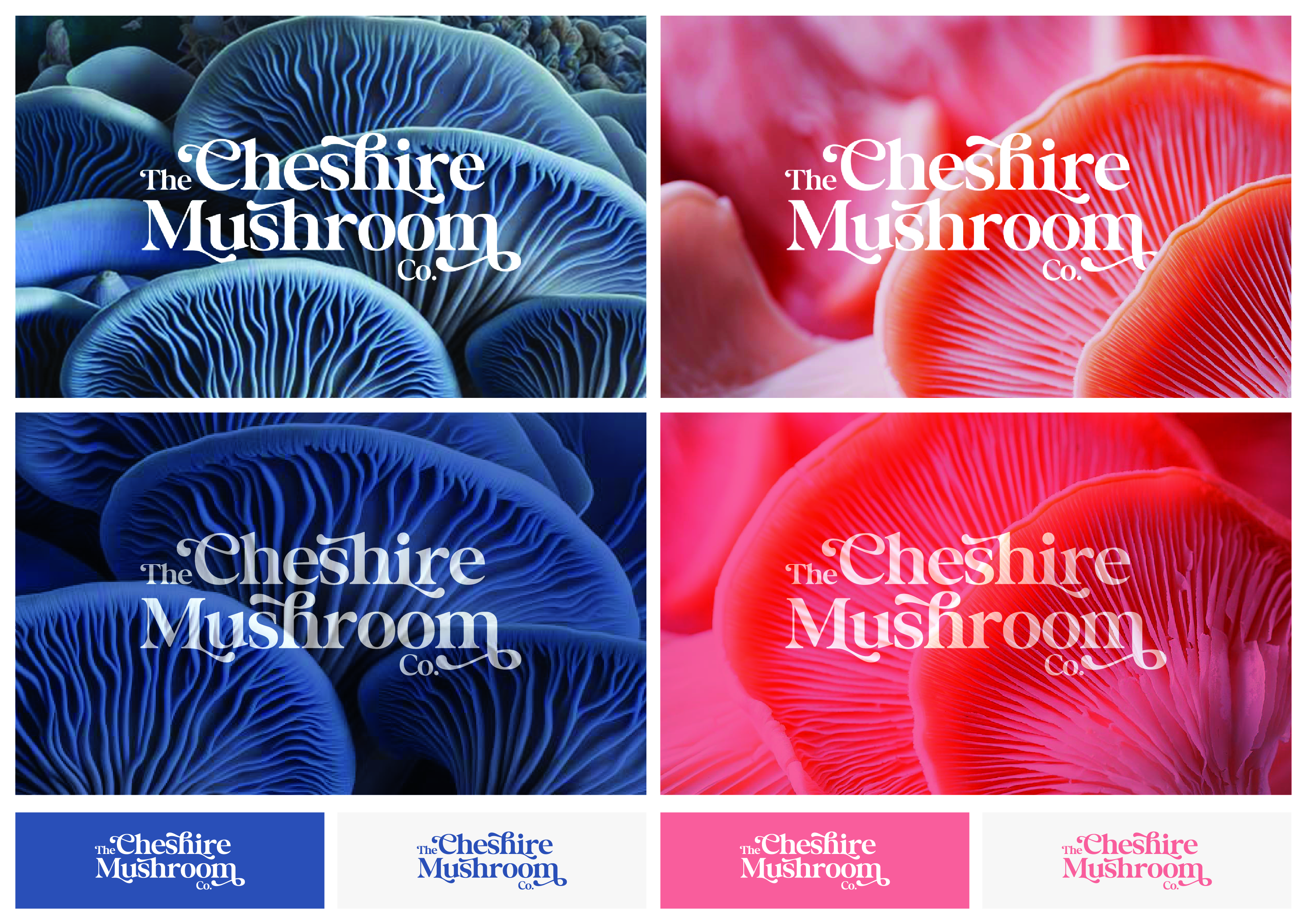 Diseño de Logo por CZP para The Cheshire Mushroom Co. | Diseño #30555171