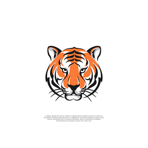 Logo Design by Afsan Brandify