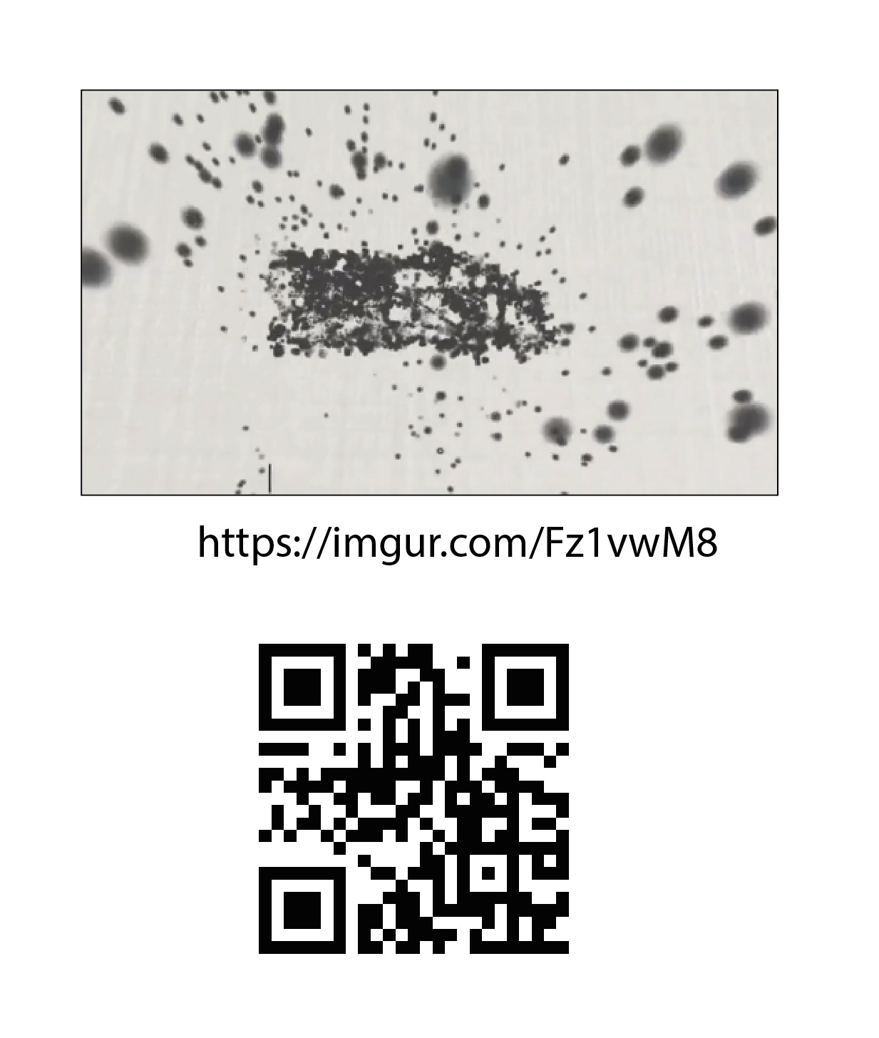 Diseño Gráfico por Sarina.dsg para este proyecto | Diseño #30550865