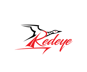 Logo Design by Ansh Design for this project | Design: #30549479