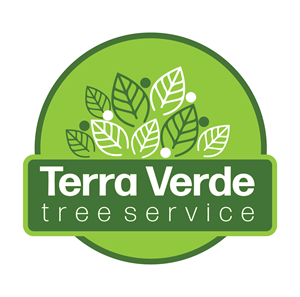 Logo Design by G3 Designs for this project | Design #30552049
