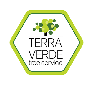 Logo Design by G3 Designs for this project | Design: #30552088