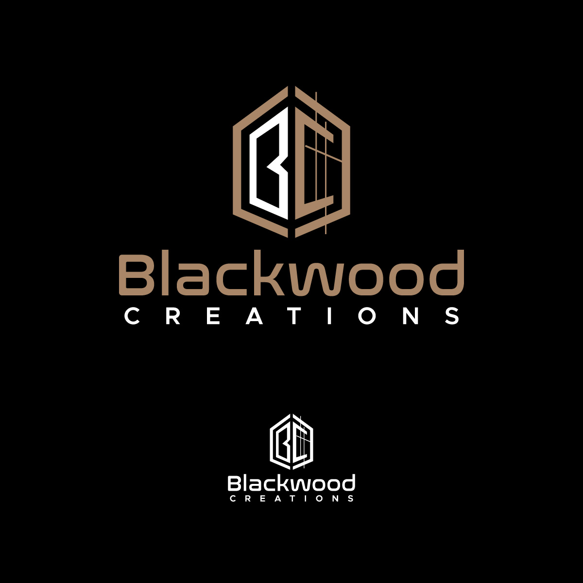 Logo Design by fly  design for this project | Design #30561681