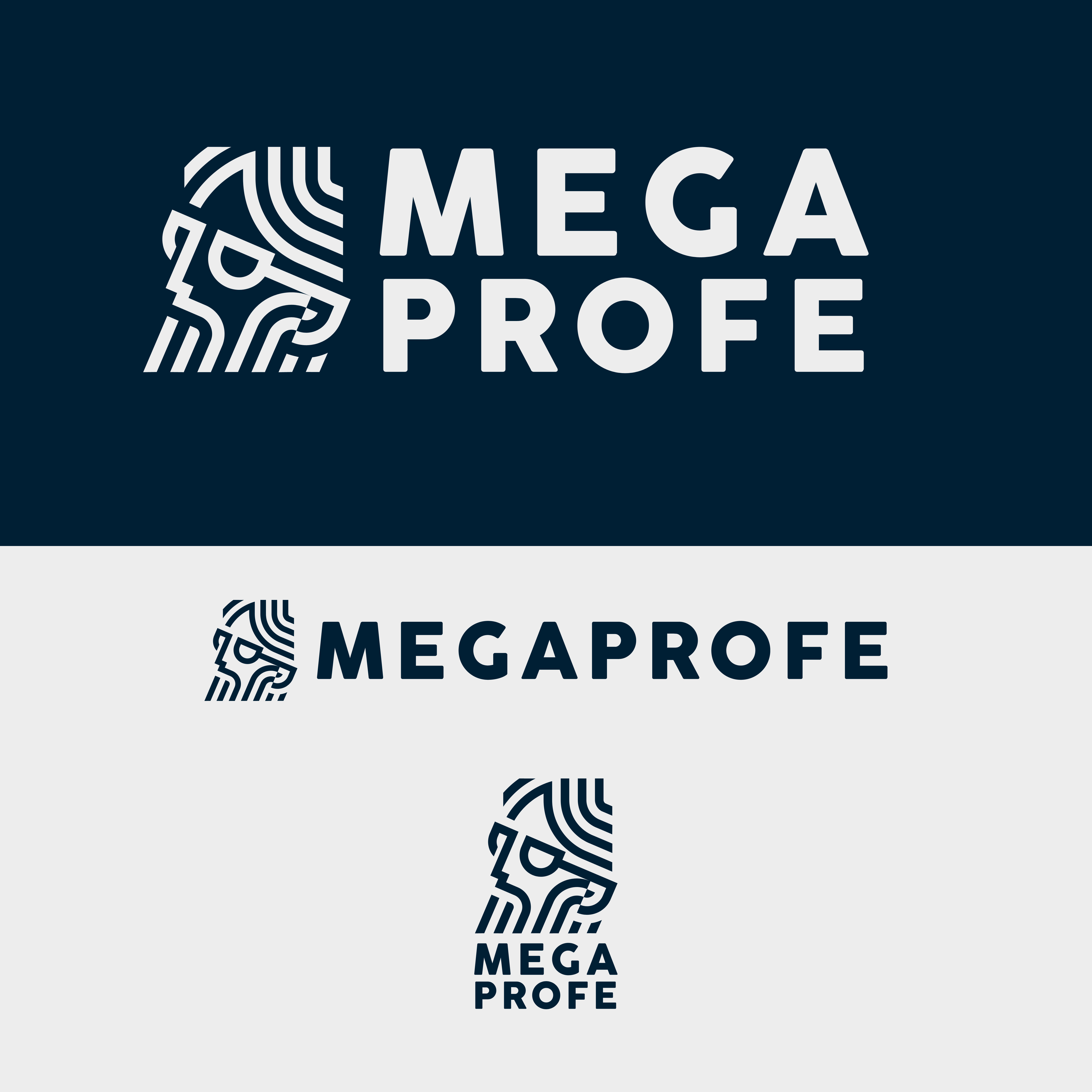 Logo Design by Jagerstraum for OrigamiSoft, S.L. (B05395645) | Design #30665393