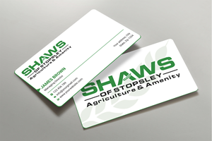Business Card Design by Expert Bappy
