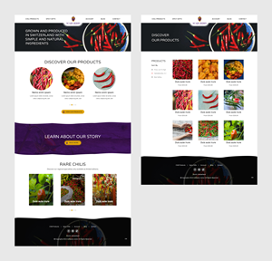 Design Wix par pb pour ce projet | Design : #30626034