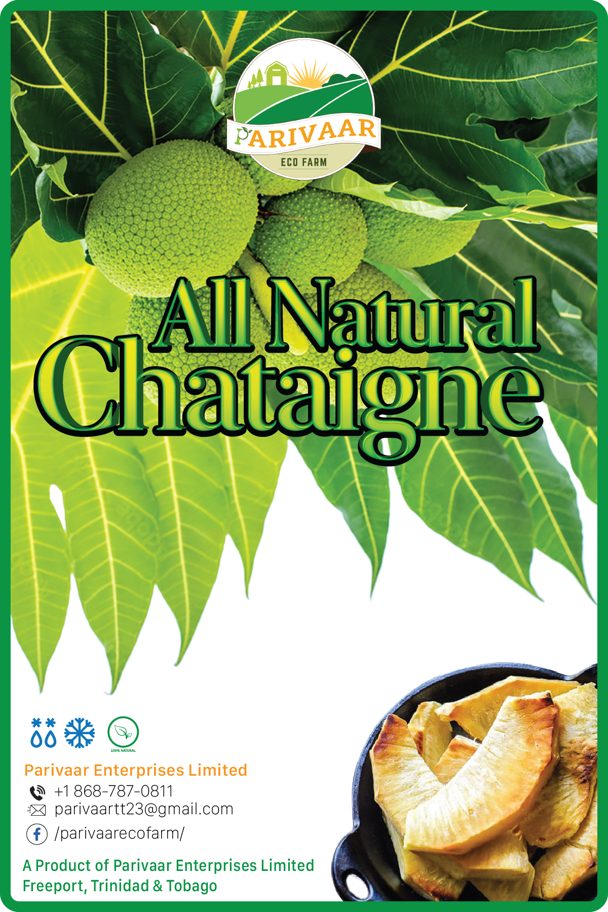Graphic Design by Vyacheslav65 for Parivaar Enterprises Limited | Design #30573412