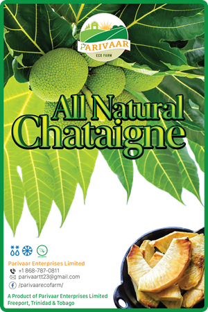 Graphic Design by Vyacheslav65 for Parivaar Enterprises Limited | Design: #30573412