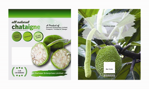 Graphic Design by nitin.kondhare2010 for Parivaar Enterprises Limited | Design: #30588915