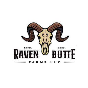 Logo Design by Pegasus