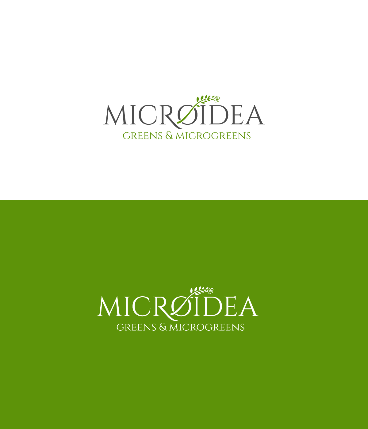 Logo Design by Farhad Kreative for this project | Design #30580037