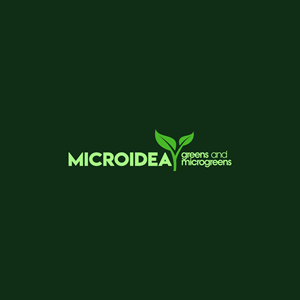 Logo Design by Jeferson HP