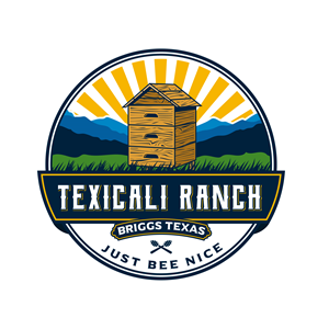 Logo Design by Pegasus