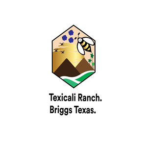 Logo Design by zizo_changemail 14 for this project | Design: #30626476