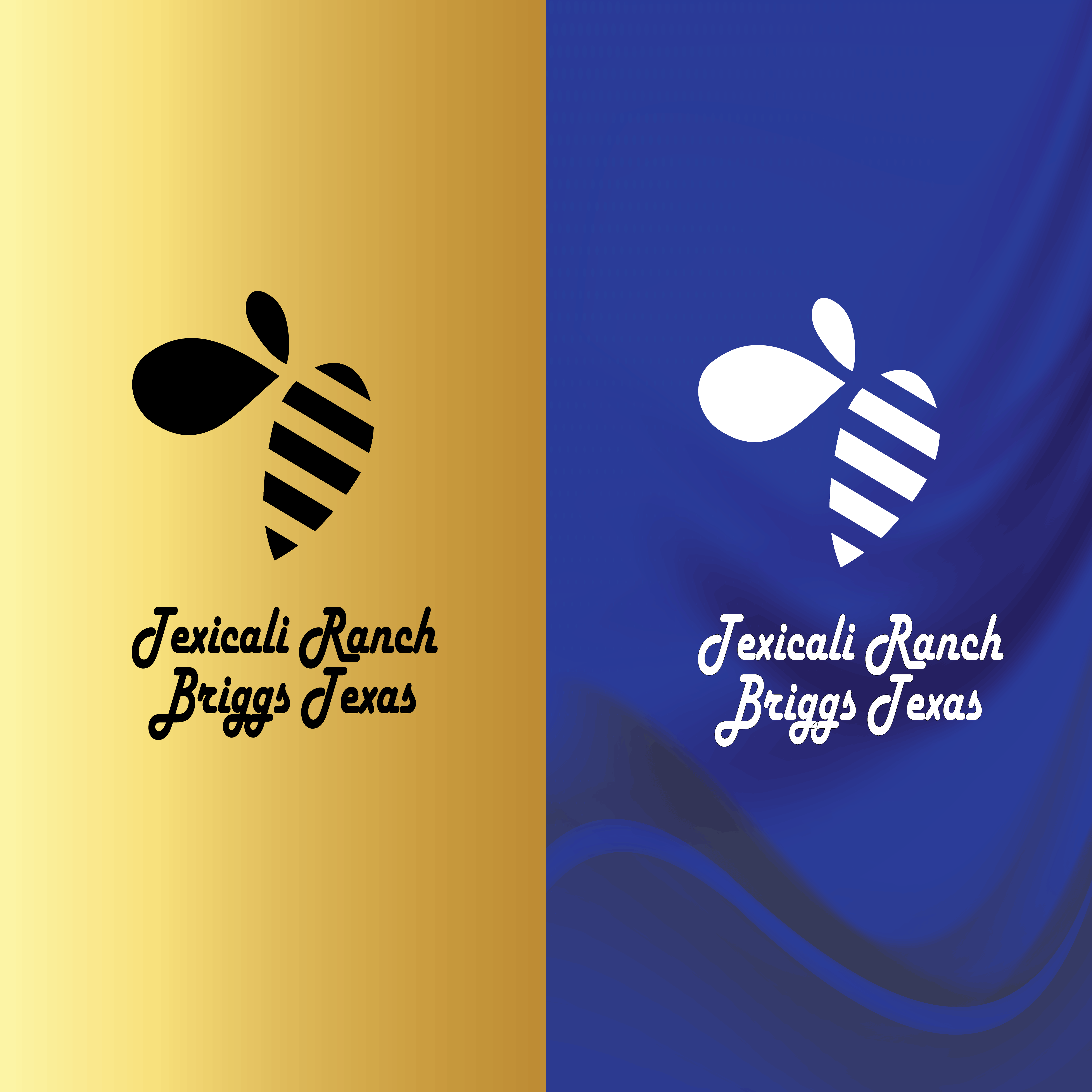 Design de Logo par zizo_changemail 14 pour ce projet | Design #30633219