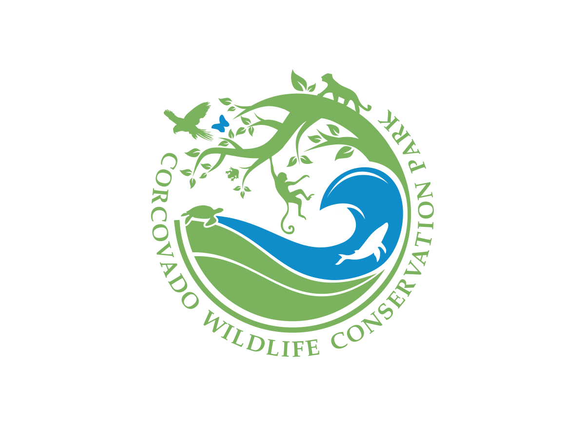 Logo Design by  Six Eleven Design for this project | Design #30598556