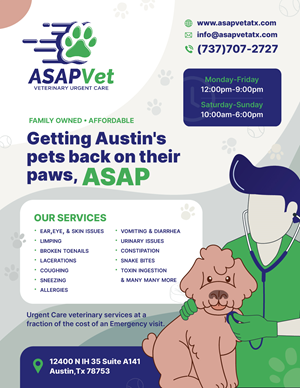 Flyer Design by Mikai!13 for this project | Design: #30599852