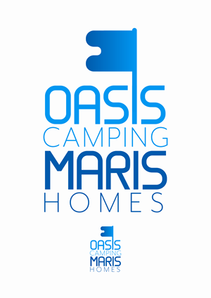 Logo Design by Flow Design