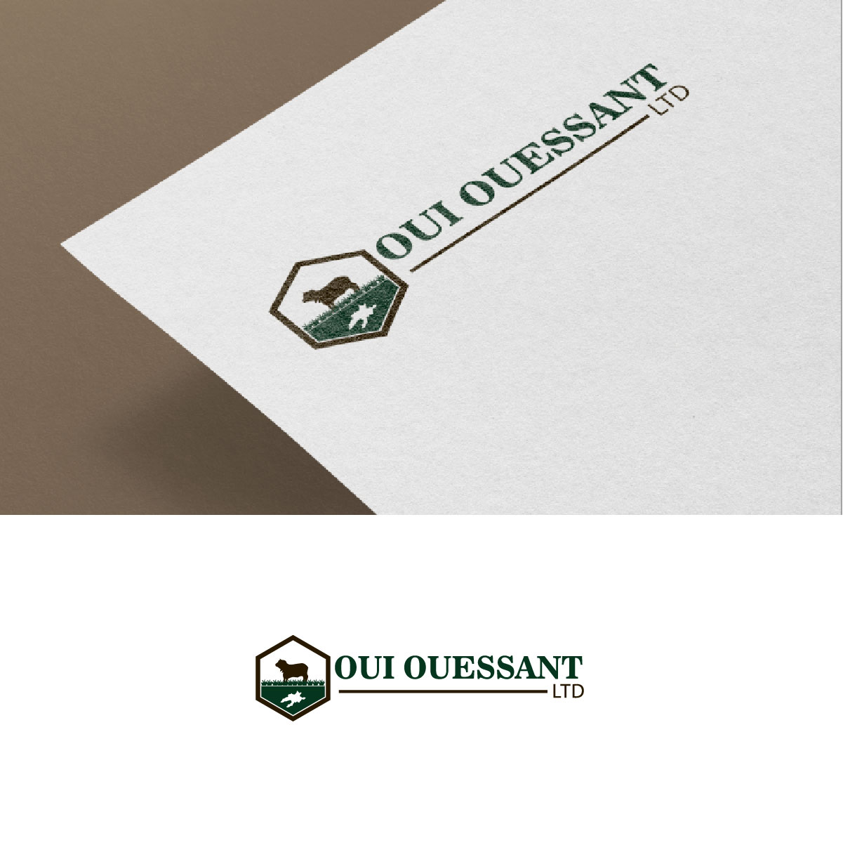 Logo Design by fly  design for this project | Design #30607796
