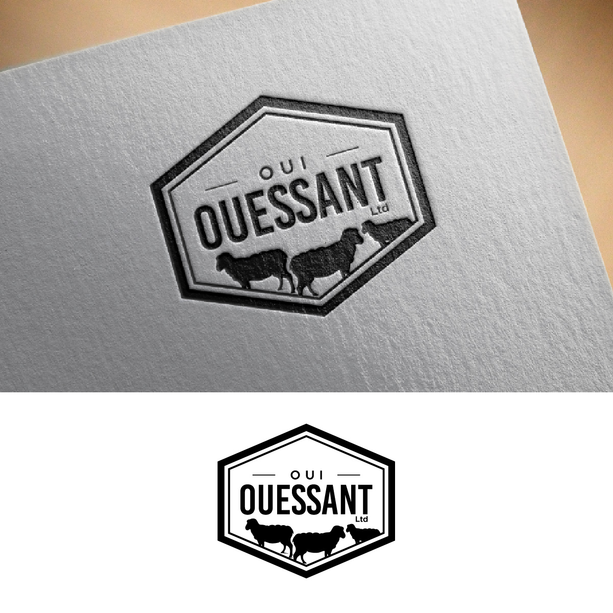 Logo Design by fly  design for this project | Design #30607800