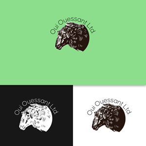Logo Design by mert güler 2