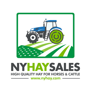 Logo Design by Abdulmalik Ganijonov for this project | Design: #30608074