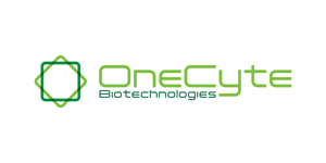 Logo Design by Grafactory for this project | Design: #30612396