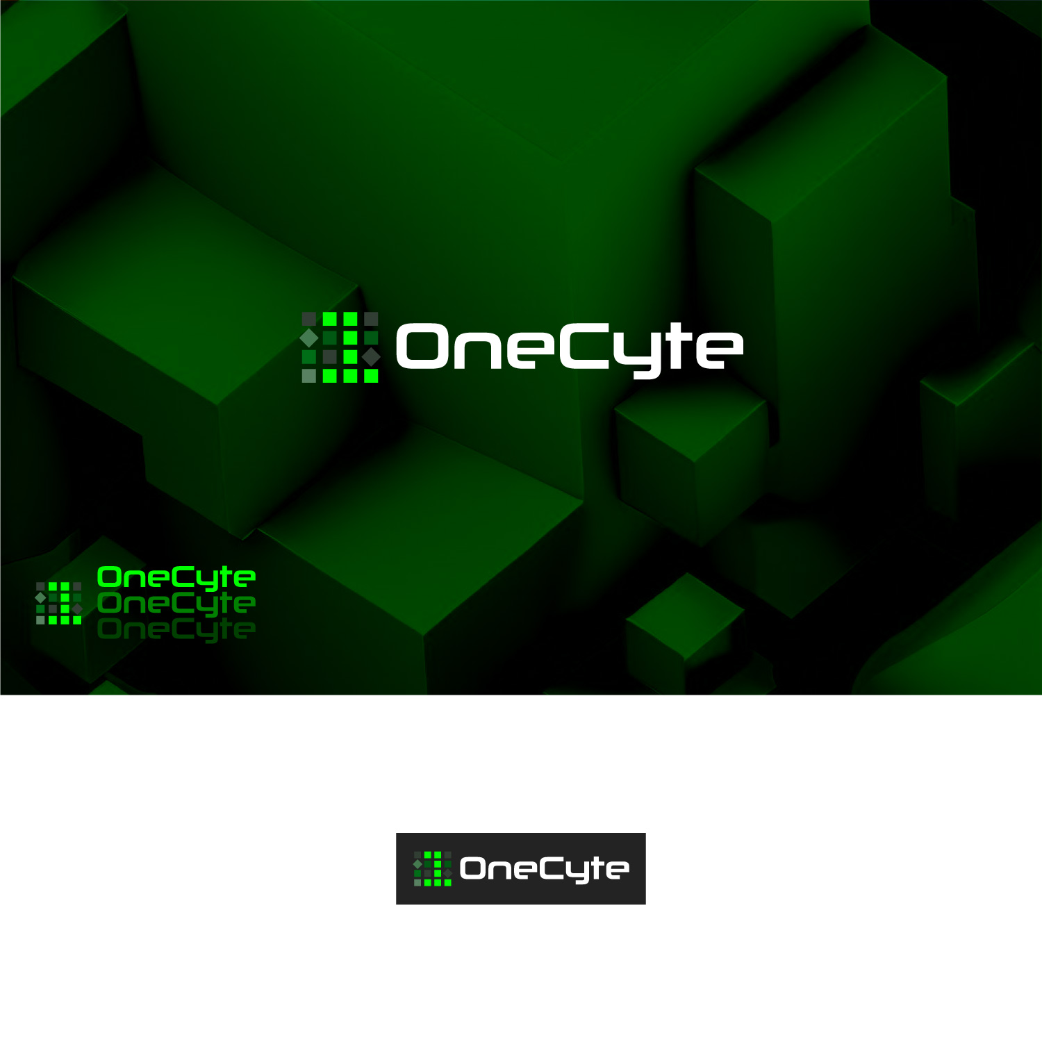 Logo Design by Haja_H2 for this project | Design #30611972