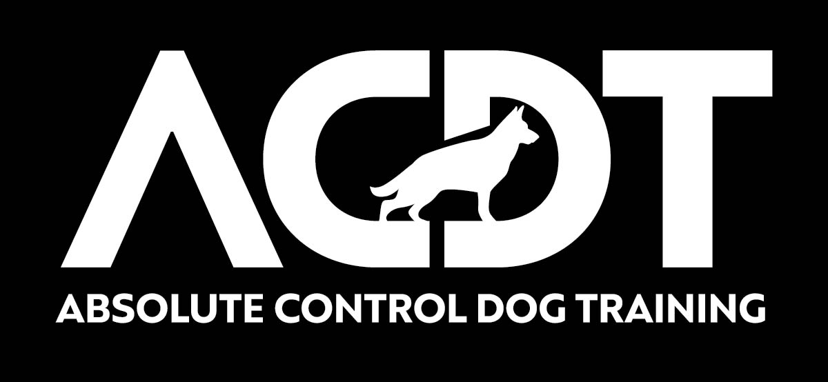 Logo Design by Isnah Logo for this project | Design #30647556