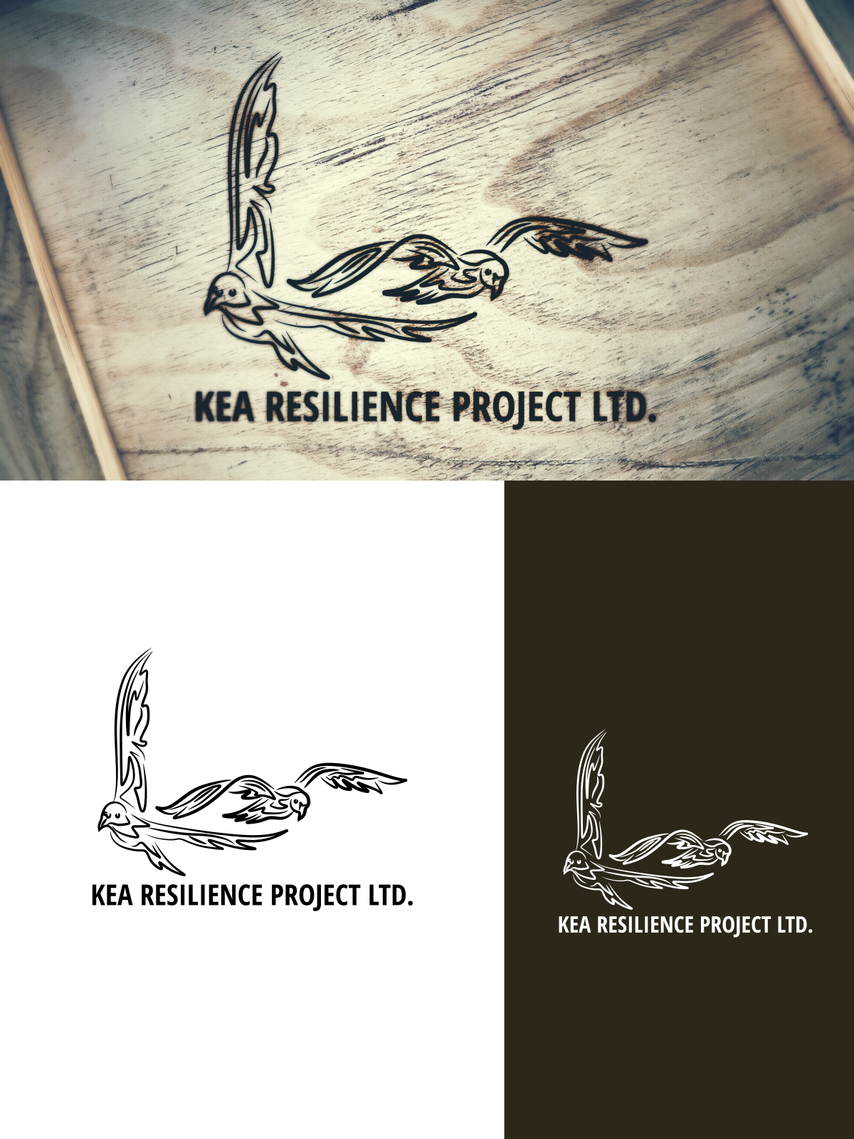 Logo Design by design.bb for Kea Resilience Project Ltd | Design #30630353