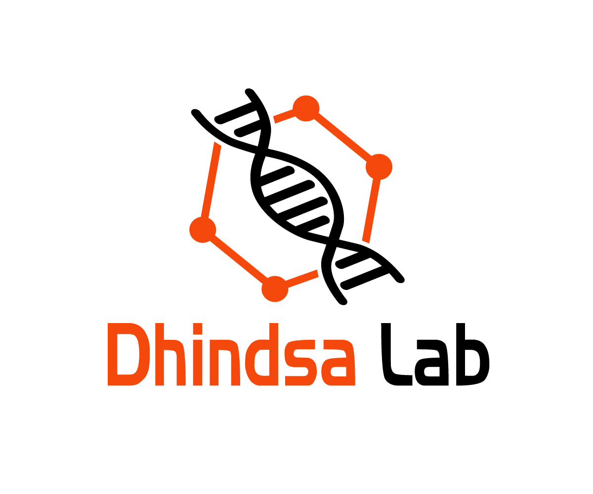 Diseño de Logo por RPgraphics para este proyecto | Diseño #30667397