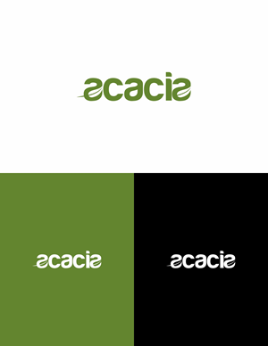 Logo Design by Praza