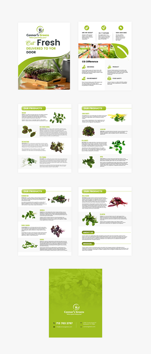 Flyer Design by Design Motion for XIARA Offshore | Design: #30648694